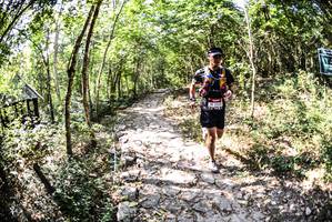 BIB: 2550
                            <button type="button" onclick="openModal(7023876)" class="btn btn-primary btn-sm float-right btn-popup" data-toggle="modal" data-target=".modal-high-quality">
                        <i class="fas fa-shopping-cart"></i> Add to Cart
                    </button>
                                            <button type="button" onclick="isThisMe(7023876, true)" class="btn btn-success btn-sm float-right btn-popup btn-isme hidden" data-toggle="tooltip" data-placement="bottom" title="นี่คือรูปของคุณใช่ไหม คลิกที่นี่เพื่อเอาเข้าอัลบั้ม">
                        <i class="fas fa-plus"></i> Add to album
                    </button>
                    <button type="button" onclick="isThisMe(7023876, false)" class="btn btn-warning btn-sm float-right btn-popup btn-isnotme hidden">
                        <i class="fas fa-ban"></i> Remove from album
                    </button>